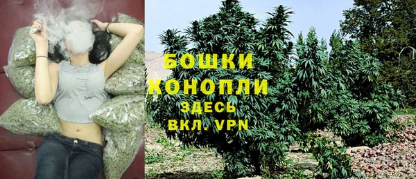 шишки Краснослободск