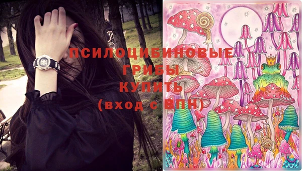 героин Кукмор