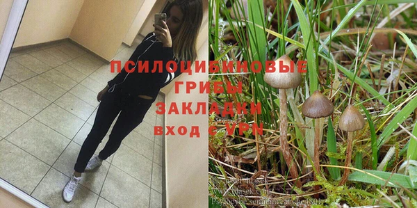 не бодяженный Галич
