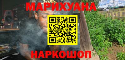 шишки Изобильный