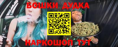 шишки Изобильный