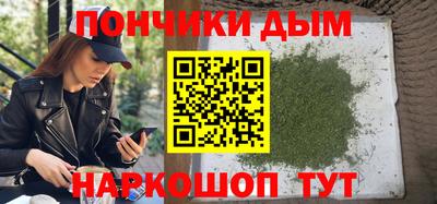 шишки Изобильный