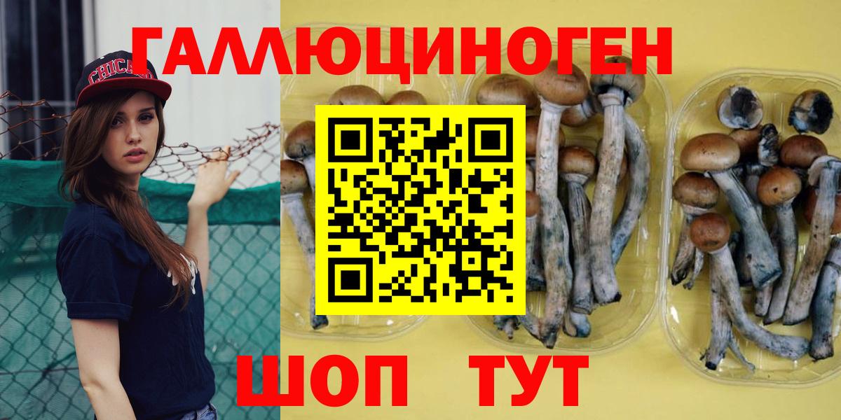 Галлюциногенные грибы Magic Shrooms Кстово