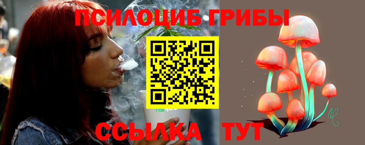 Галлюциногенные грибы мухоморы  Кстово  Галлюциногенные грибы GOLDEN TEACHER 